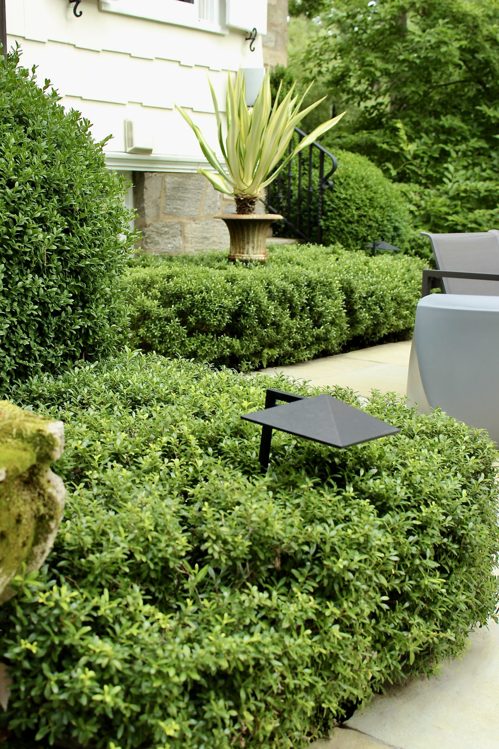 hedging with agave landscape lighting patio outdoor living space